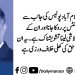 “نوجوانوں کو اسلام آباد پولیس کی جانب سے مختلف چیک پوائنٹس پر روکا جانا اور ان کے موبائل فونز کی تلاشی لینا تشویشناک ہے۔ یہ ان کی پرائیویسی کے حق کی کھلی خلاف ورزی ہے۔”باقر سجاد